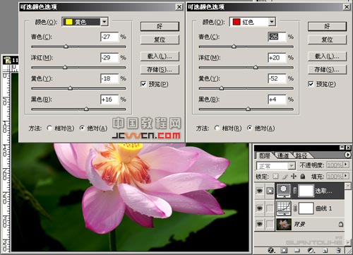 让照片中的花朵更加通透艳丽_亿码酷站___亿码酷站平面设计教程插图2
