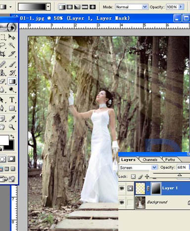 Photoshop给树林照片添加逼真的透视光线效果_亿码酷站___亿码酷站平面设计教程插图12
