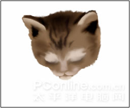 Photoshop鼠绘教程：可爱的小猫_亿码酷站___亿码酷站平面设计教程插图5