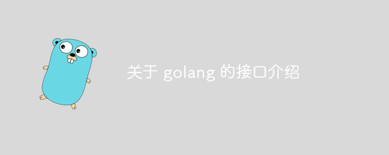 关于 golang 的接口介绍_亿码酷站_亿码酷站插图