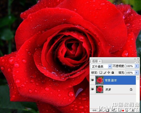 Photoshop快速将红玫瑰变成金色调_亿码酷站___亿码酷站平面设计教程插图2
