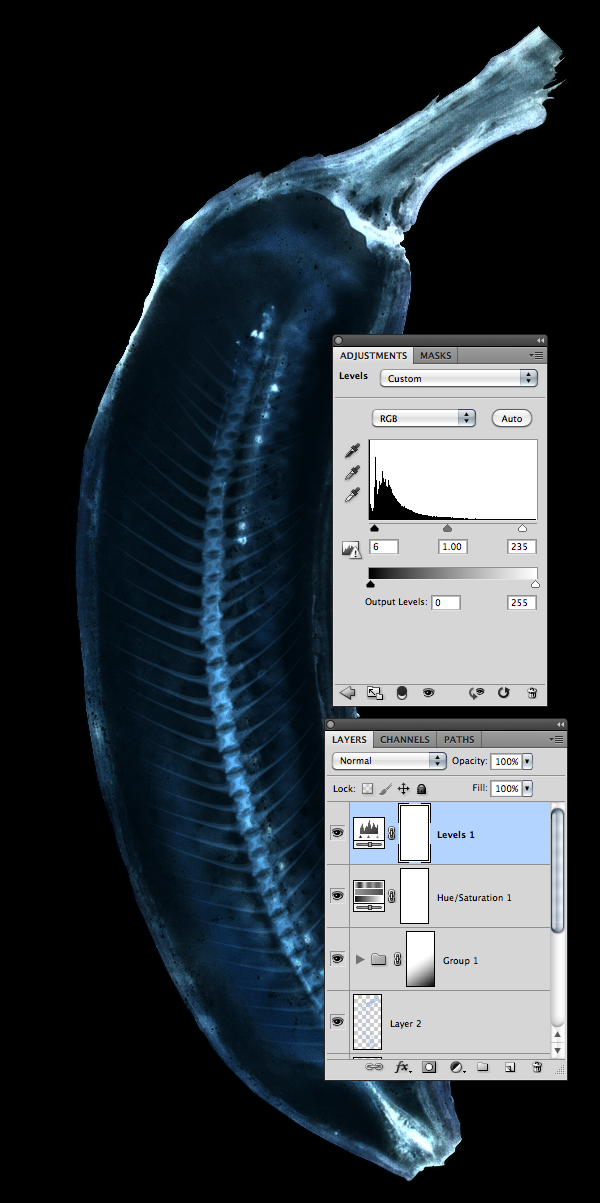 photoshop绘制一个模拟X射线香蕉图像_亿码酷站___亿码酷站平面设计教程插图8