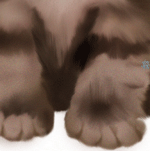 Photoshop鼠绘教程：可爱的小猫_亿码酷站___亿码酷站平面设计教程插图19