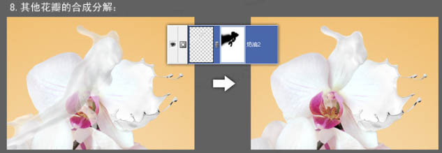 Photoshop合成动感的牛奶花朵_亿码酷站___亿码酷站平面设计教程插图20