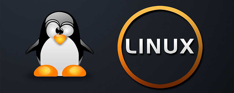 linux磁盘如何分区_编程技术_亿码酷站插图