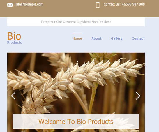 商务色农业水果蔬菜种植网站模板_html网站模板插图