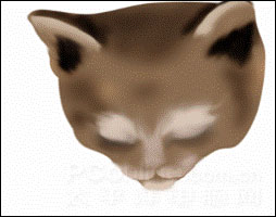 Photoshop鼠绘教程：可爱的小猫_亿码酷站___亿码酷站平面设计教程插图2