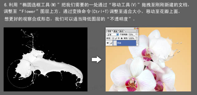 Photoshop合成动感的牛奶花朵_亿码酷站___亿码酷站平面设计教程插图17