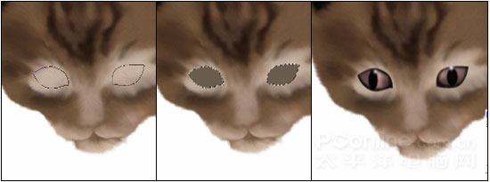Photoshop鼠绘教程：可爱的小猫_亿码酷站___亿码酷站平面设计教程插图10