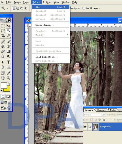 Photoshop给树林照片添加逼真的透视光线效果_亿码酷站___亿码酷站平面设计教程插图2