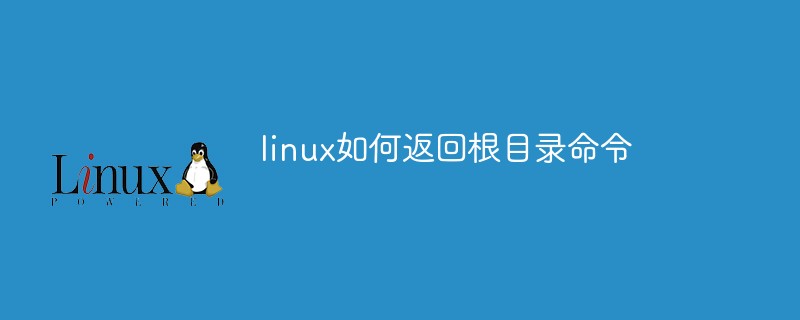 linux如何返回根目录命令_编程技术_亿码酷站插图