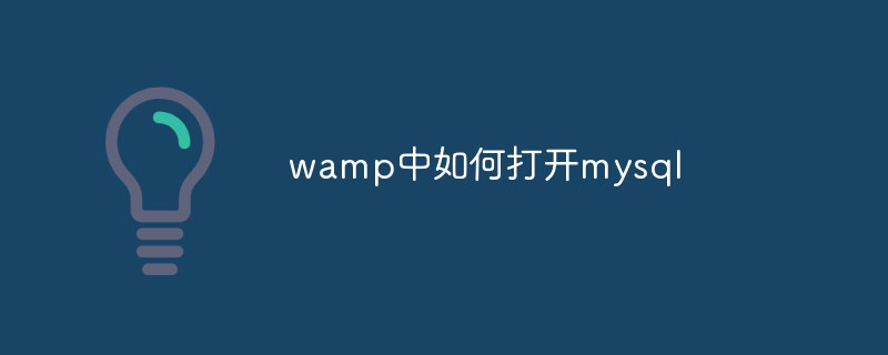 wamp中如何打开mysql_编程技术_亿码酷站