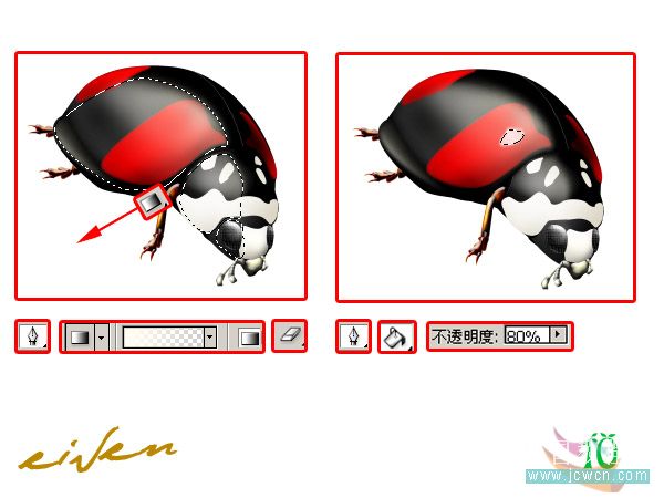 Photoshop鼠绘教程:一只逼真的瓢虫_亿码酷站___亿码酷站平面设计教程插图7