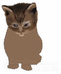Photoshop鼠绘教程：可爱的小猫_亿码酷站___亿码酷站平面设计教程插图17