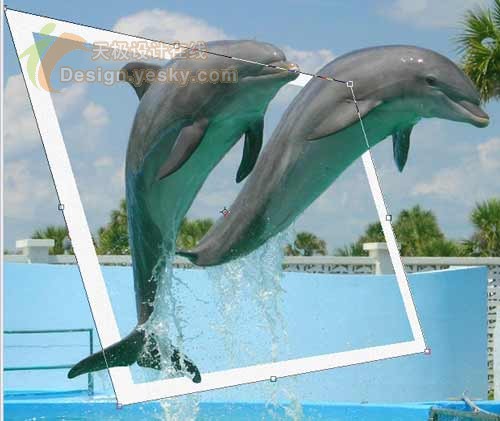 Photoshop制作跃出照片的海豚特效_亿码酷站___亿码酷站平面设计教程插图7