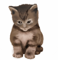 Photoshop鼠绘教程：可爱的小猫_亿码酷站___亿码酷站平面设计教程插图18
