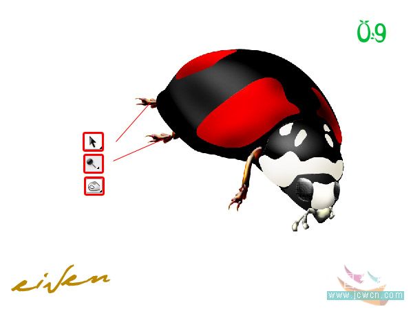Photoshop鼠绘教程:一只逼真的瓢虫_亿码酷站___亿码酷站平面设计教程插图6