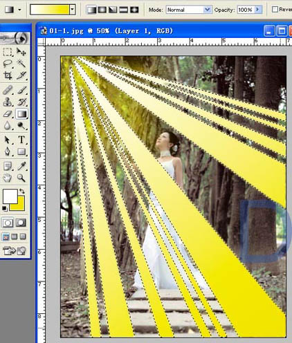 Photoshop给树林照片添加逼真的透视光线效果_亿码酷站___亿码酷站平面设计教程插图9