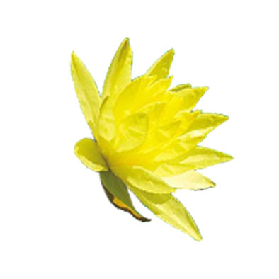 Photoshop快速制作漂亮的花朵浮雕字_亿码酷站___亿码酷站平面设计教程插图8