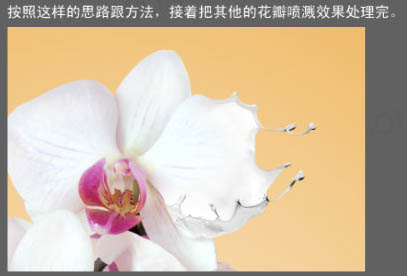 Photoshop合成动感的牛奶花朵_亿码酷站___亿码酷站平面设计教程插图19