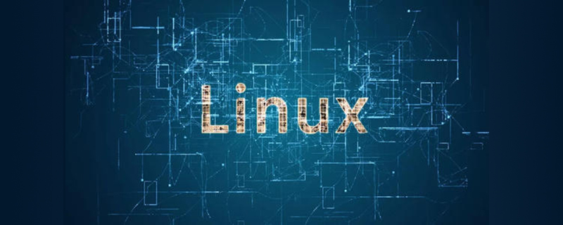linux如何查看端口占用情况_编程技术_编程开发技术教程插图