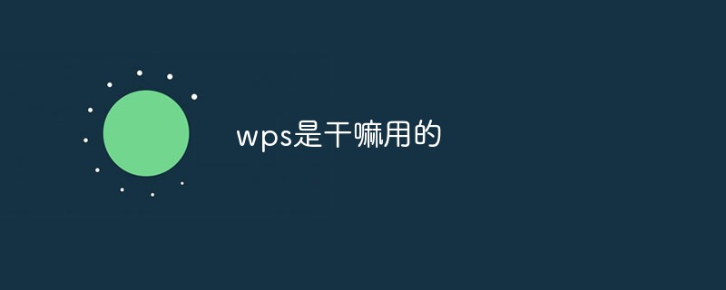 wps是干嘛用的_编程技术_亿码酷站插图