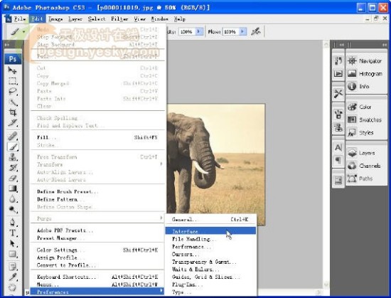 体验Photoshop CS3 Beta新特性_亿码酷站___亿码酷站平面设计教程插图7