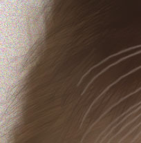 Photoshop鼠绘教程：可爱的小猫_亿码酷站___亿码酷站平面设计教程插图26