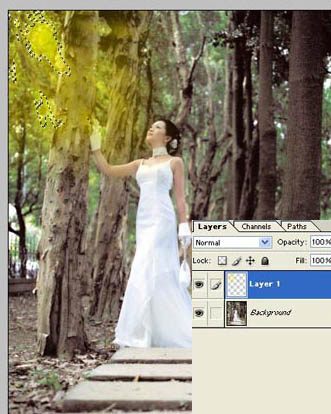 Photoshop给树林照片添加逼真的透视光线效果_亿码酷站___亿码酷站平面设计教程插图7