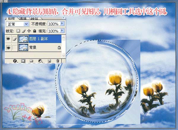 Photoshop制作透明的肥皂泡泡_亿码酷站___亿码酷站平面设计教程插图4