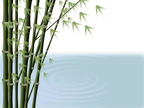 Photoshop制作竹子的简单操作_亿码酷站___亿码酷站平面设计教程插图5