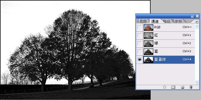 抠图技巧: 用PS通道给繁密的树枝抠背景_亿码酷站___亿码酷站平面设计教程插图5