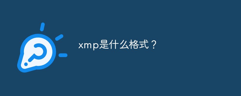xmp是什么格式？_编程技术_亿码酷站插图