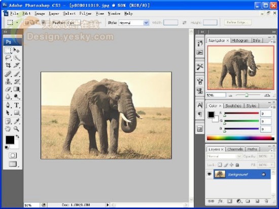 体验Photoshop CS3 Beta新特性_亿码酷站___亿码酷站平面设计教程插图2