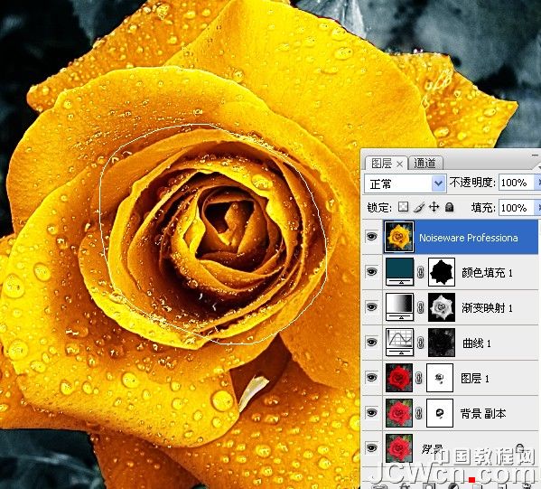 Photoshop快速将红玫瑰变成金色调_亿码酷站___亿码酷站平面设计教程插图9