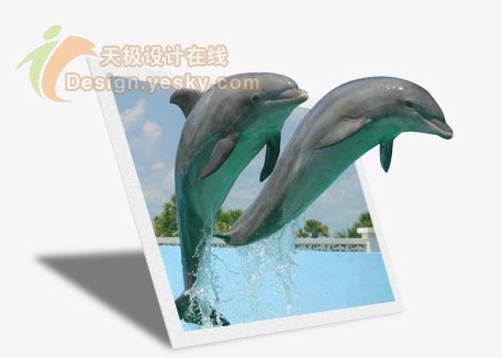 Photoshop制作跃出照片的海豚特效_亿码酷站___亿码酷站平面设计教程插图10