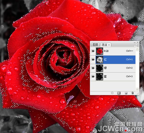 Photoshop快速将红玫瑰变成金色调_亿码酷站___亿码酷站平面设计教程插图5