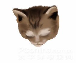 Photoshop鼠绘教程：可爱的小猫_亿码酷站___亿码酷站平面设计教程插图4