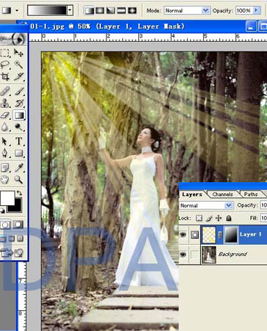 Photoshop给树林照片添加逼真的透视光线效果_亿码酷站___亿码酷站平面设计教程插图11