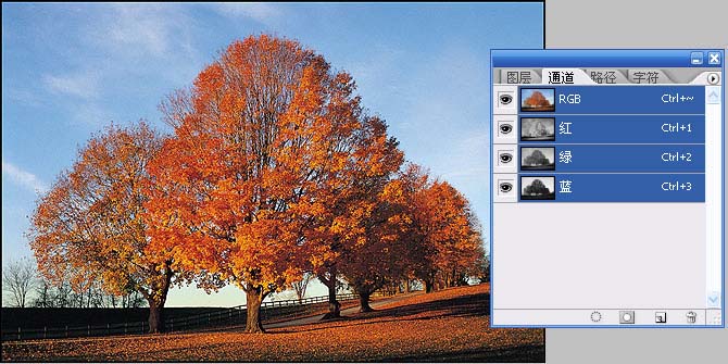 抠图技巧: 用PS通道给繁密的树枝抠背景_亿码酷站___亿码酷站平面设计教程插图2