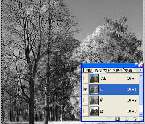 Photoshop将照片处理为局部黑白效果_亿码酷站___亿码酷站平面设计教程插图5