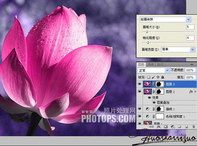 Photoshop打造高清的暗紫色荷花特写图片_亿码酷站___亿码酷站平面设计教程插图3