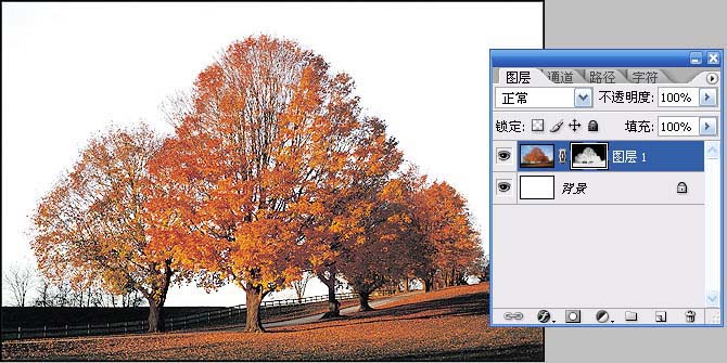 抠图技巧: 用PS通道给繁密的树枝抠背景_亿码酷站___亿码酷站平面设计教程插图7