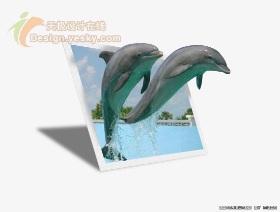 Photoshop制作跃出照片的海豚特效_亿码酷站___亿码酷站平面设计教程插图1