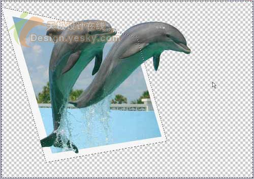 Photoshop制作跃出照片的海豚特效_亿码酷站___亿码酷站平面设计教程插图8
