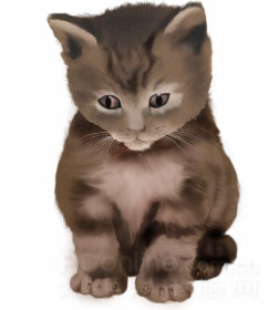 Photoshop鼠绘教程：可爱的小猫_亿码酷站___亿码酷站平面设计教程插图24