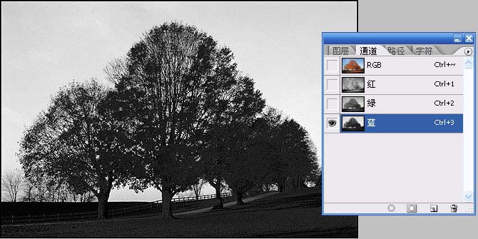 抠图技巧: 用PS通道给繁密的树枝抠背景_亿码酷站___亿码酷站平面设计教程插图3