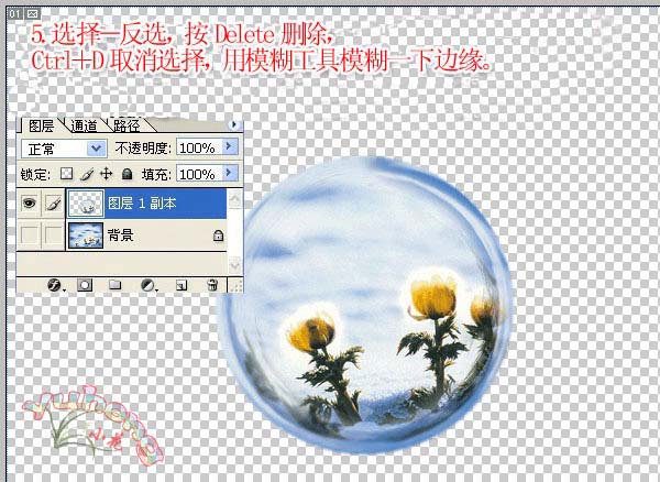 Photoshop制作透明的肥皂泡泡_亿码酷站___亿码酷站平面设计教程插图5