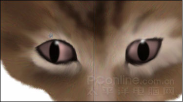 Photoshop鼠绘教程：可爱的小猫_亿码酷站___亿码酷站平面设计教程插图11
