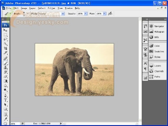 体验Photoshop CS3 Beta新特性_亿码酷站___亿码酷站平面设计教程插图5